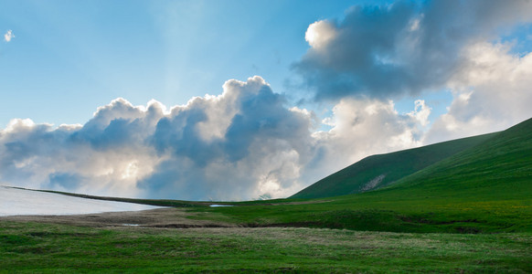 夏季景观