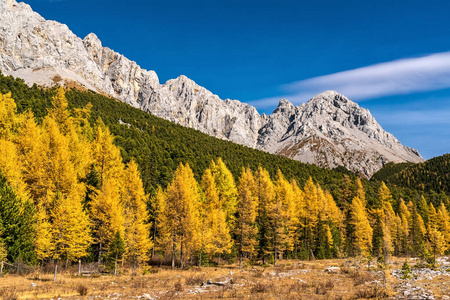 蒙古山脉的秋天