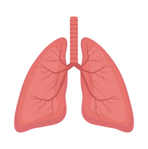 肺的图标, 扁平的风格。人体的内部器官设计元素, 标志。解剖学, 医学概念。医疗.在白色背景上隔离。矢量插图