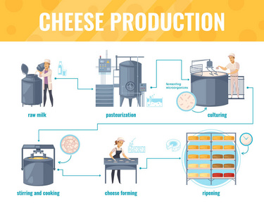 奶酪生产卡通信息图表图片