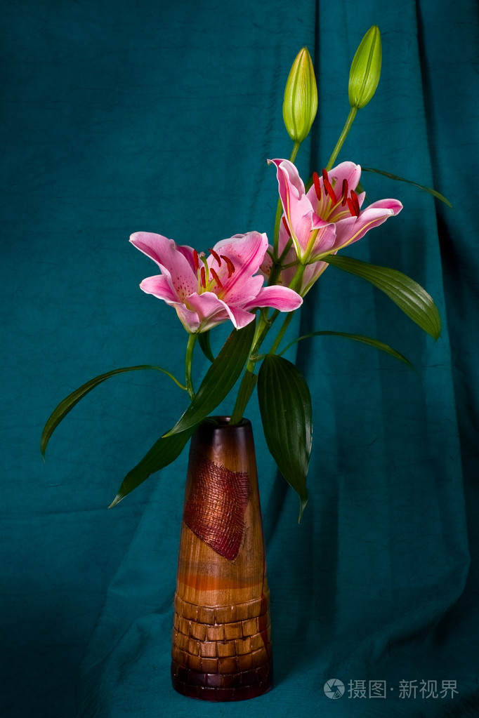 百合花lily的名词复数