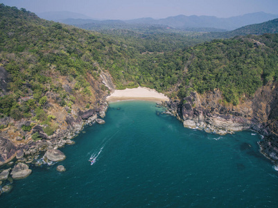 美丽的秘密海滩蝴蝶。印度果阿旅游州