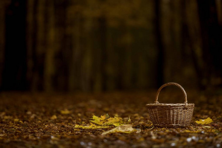 篮子在秋天森林里