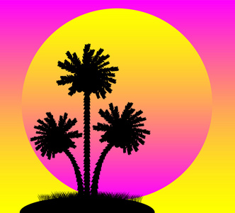 日落时棕榈树的剪影