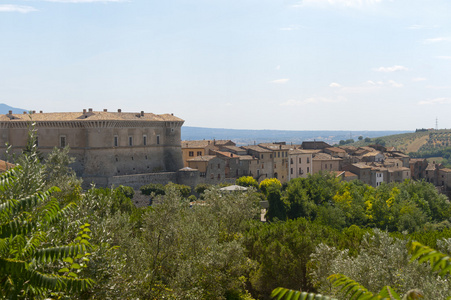 阿尔维亚诺 特尔尼，翁布里亚，意大利，与它的城堡的全景