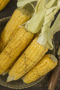 翻录和成熟的玉米棒子的视图