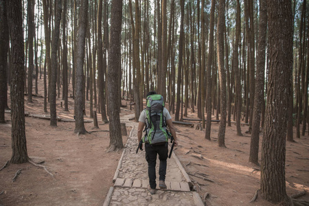 在森林里徒步旅行的人