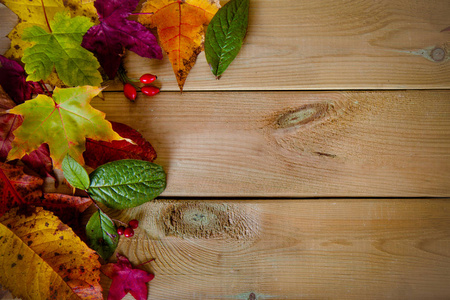 秋天的落叶的木板上