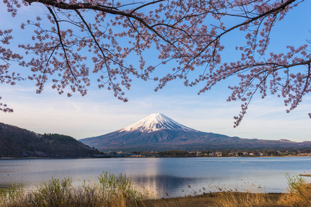 富士山在春天