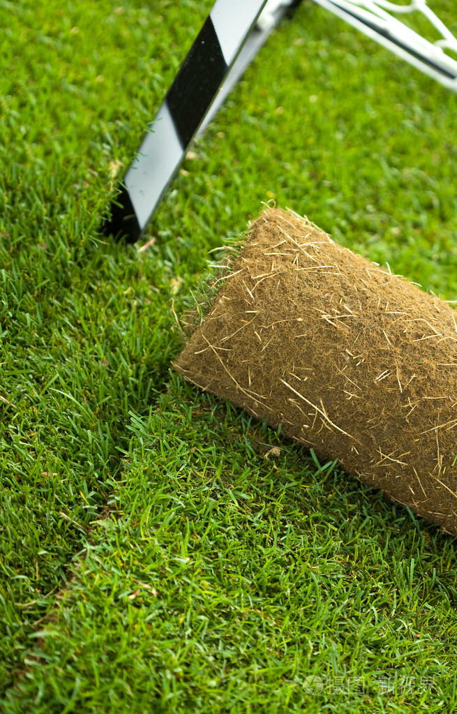 运动场特写草坪草卷