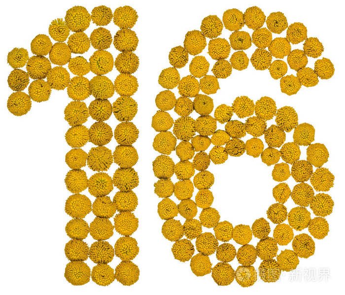 阿拉伯数字 16, 十六, 从艾菊的黄花, isolat