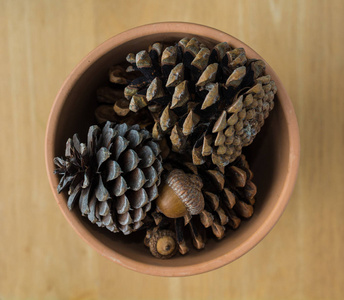 核桃和松果图片