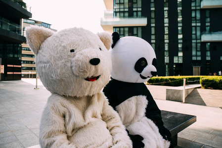 熊猫和泰迪熊在城市周围玩得开心