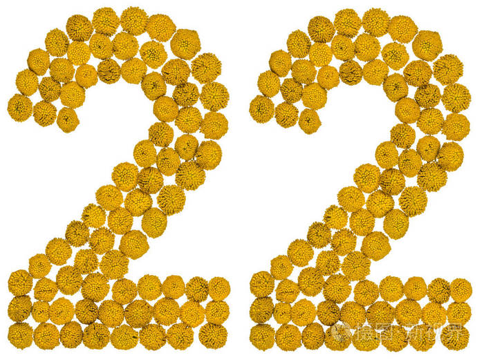 阿拉伯数字 22, 二十二, 从艾菊的黄色花朵, iso
