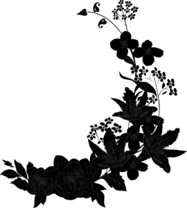 卷曲的剪影卷曲着百合花的剪影照片
