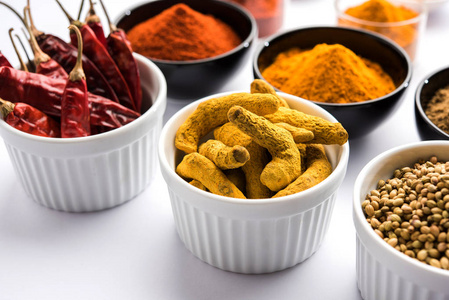 印度丰富多彩的香料。集团的照片四基本印度香料, 如生红辣椒, 姜黄, 香菜和孜然粉。选择性焦点