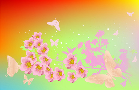 樱和蝴蝶在明亮的背景上