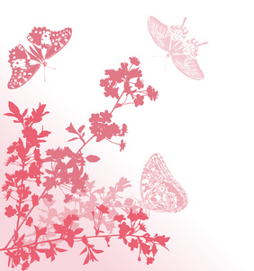 粉色蝴蝶和樱花花