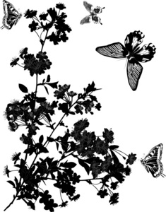 四个黑蝴蝶和樱桃树