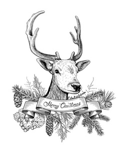 圣诞节手画背景鹿图片