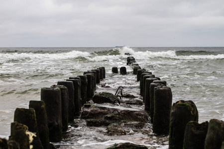由波罗的海的木质原木建造的防波堤。波罗的海