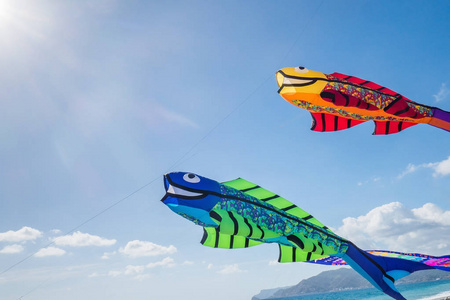 鱼形的五颜六色的风筝在沙滩上图片