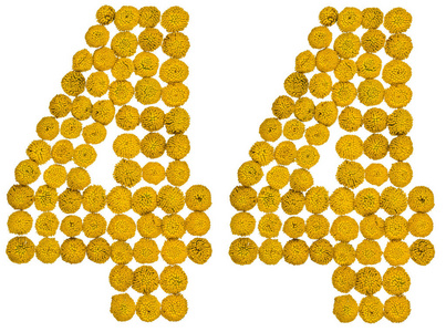 阿拉伯数字 44, 四十四, 从艾菊的黄色花朵, iso