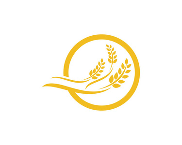 农业小麦 logo 模板矢量图标设计小麦幼穗或水稻图标集小麦图标.