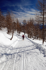 女子雪鞋下降