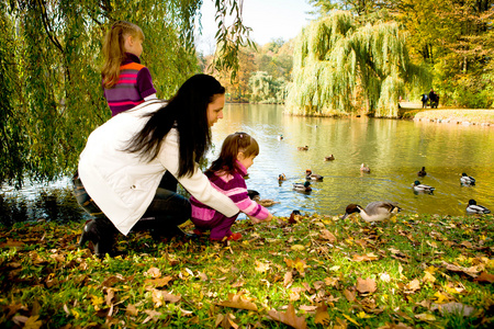 秋天公园的年轻家庭