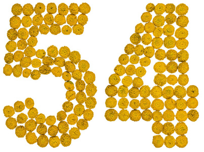 阿拉伯数字 54, 五十四, 从艾菊的黄色花朵, iso照片