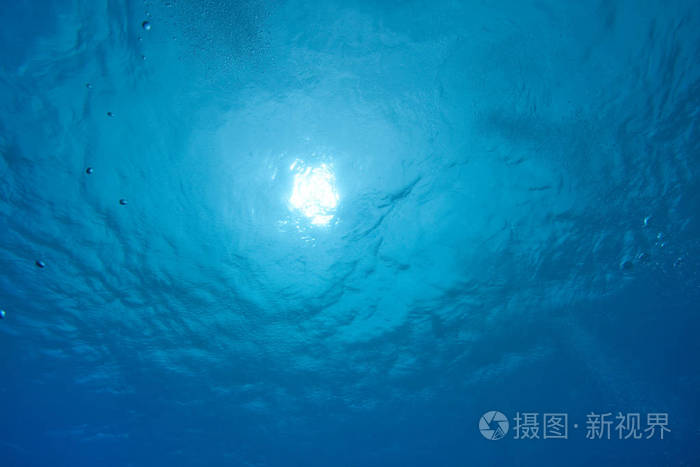 毛里求斯非洲水下图片