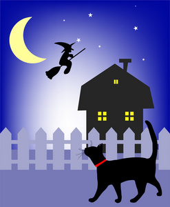 黑猫在夜里行走