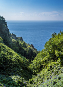 美丽的波西塔诺, 在地中海的海滩夏季在阿马尔菲海岸, 意大利。Amalfitana 背景风景图片