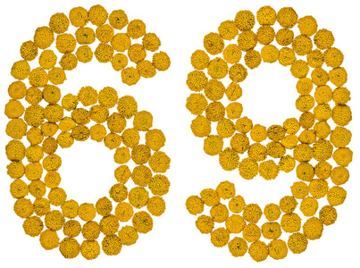 阿拉伯数字 69, 六十九, 从艾菊的黄色花朵, iso照片