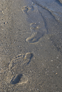 沙子上的痕迹图片