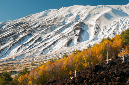 埃特纳火山, 意大利