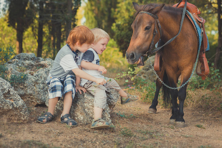 英俊的年轻男孩与红头发和蓝眼睛玩他的朋友马小马在森林里。巨大的爱在孩子 shild 和动物宠物农场之间
