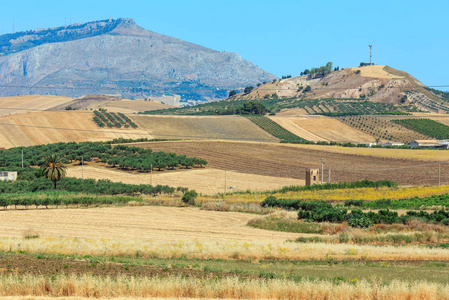 意大利西西里夏季农业农村