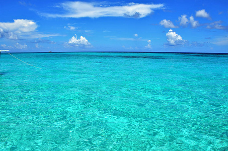 魟城加勒比海清澈碧绿的海水摄影图