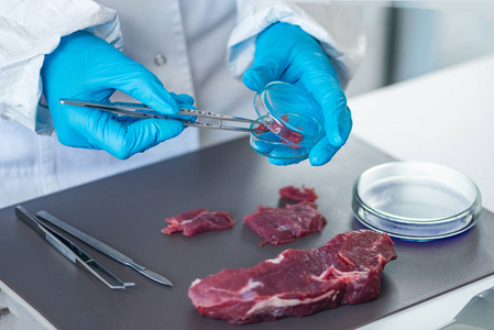 实验室肉类质量控制专家检验图片
