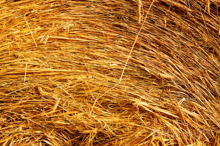 稻草背景