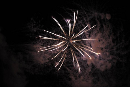 美丽的烟花在夜空, 新年聚会庆祝