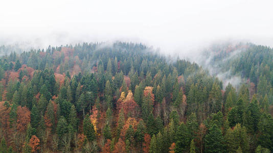 有晨雾的高山鸟瞰图