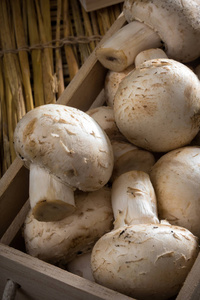 新鲜的白色蘑菇, Champignons de 巴黎