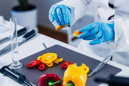 质量控制食品安全检验员在实验室工作照片