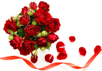 红玫瑰本假期和爱的象征