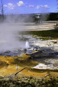  ,   yellowstone