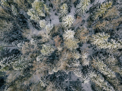 冰雪覆盖的冬季森林鸟瞰