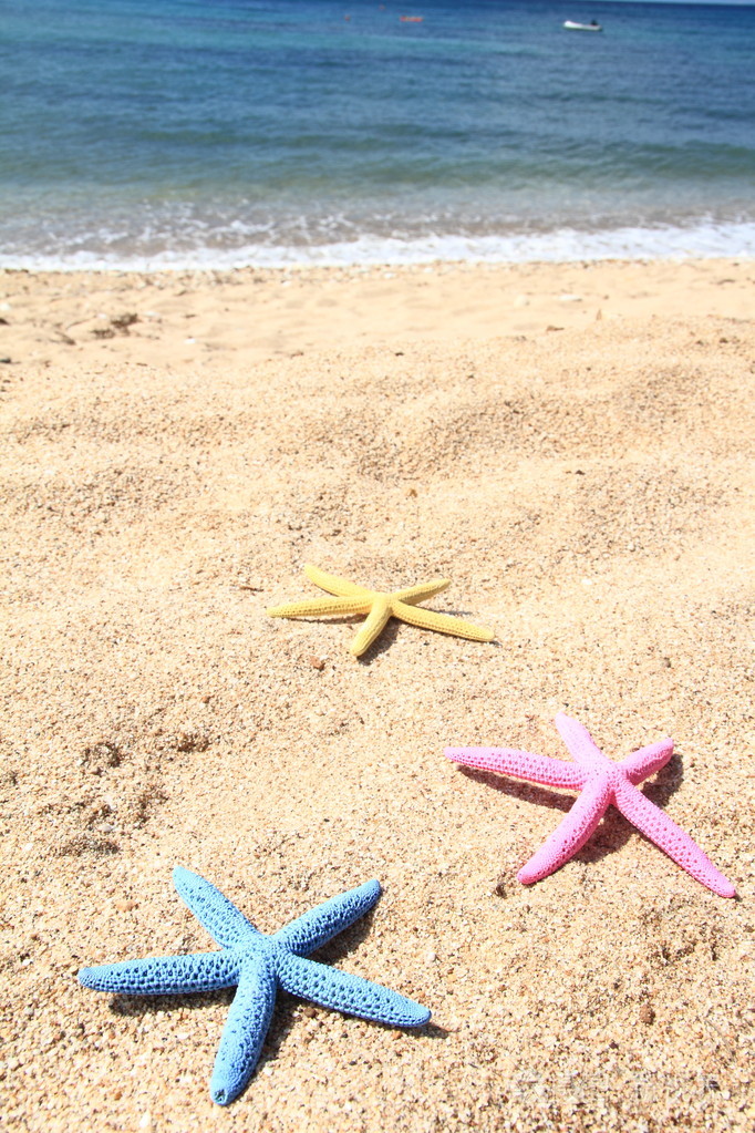 上海滩的夏天炫彩海星